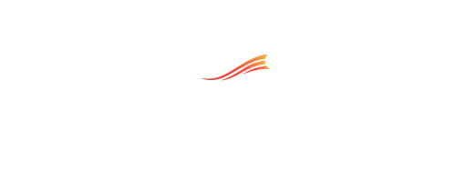 9wickets